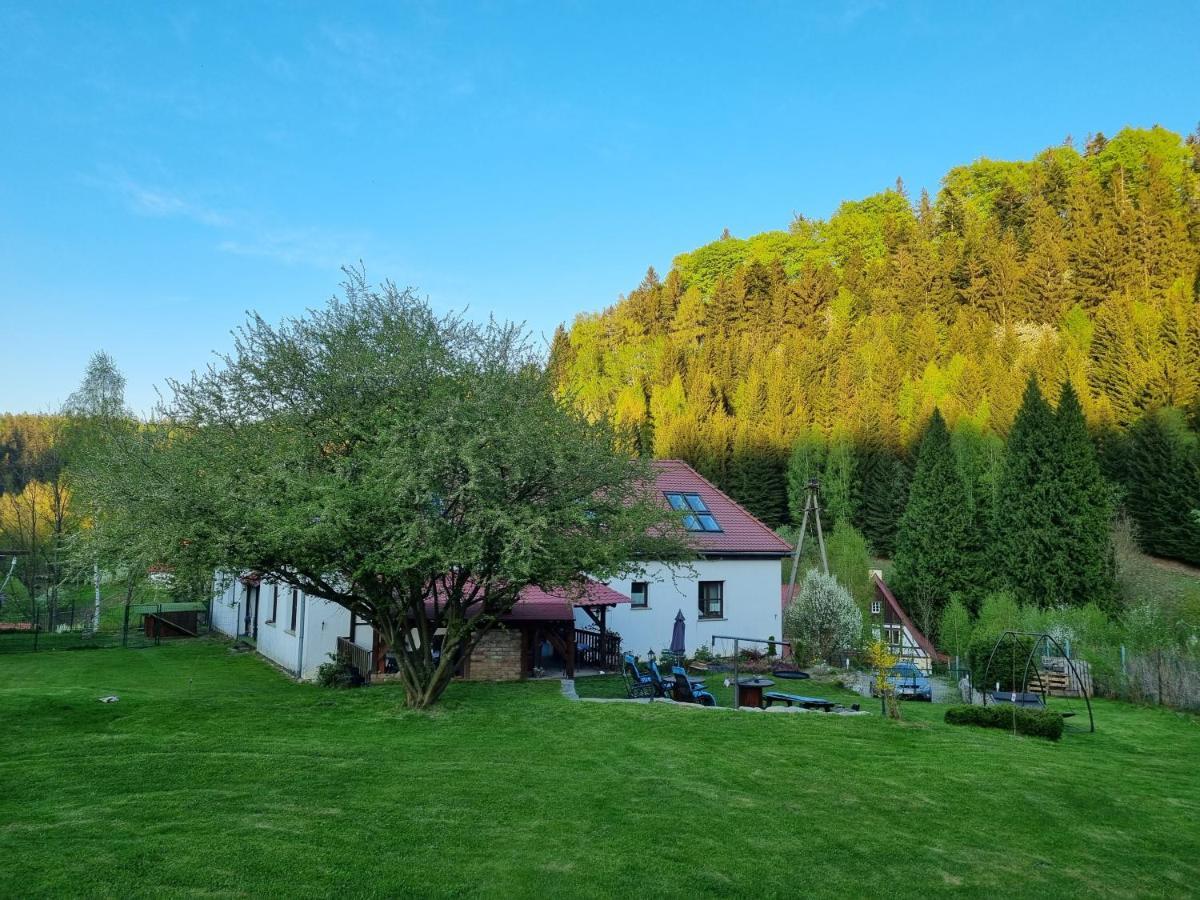 Dom Supelek Bed and Breakfast Duszniki Zdrój Εξωτερικό φωτογραφία