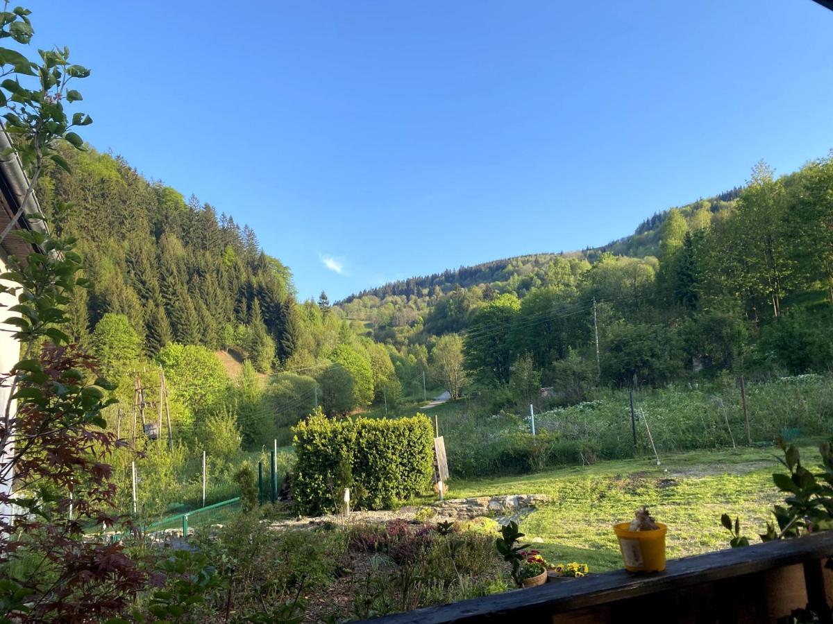 Dom Supelek Bed and Breakfast Duszniki Zdrój Εξωτερικό φωτογραφία