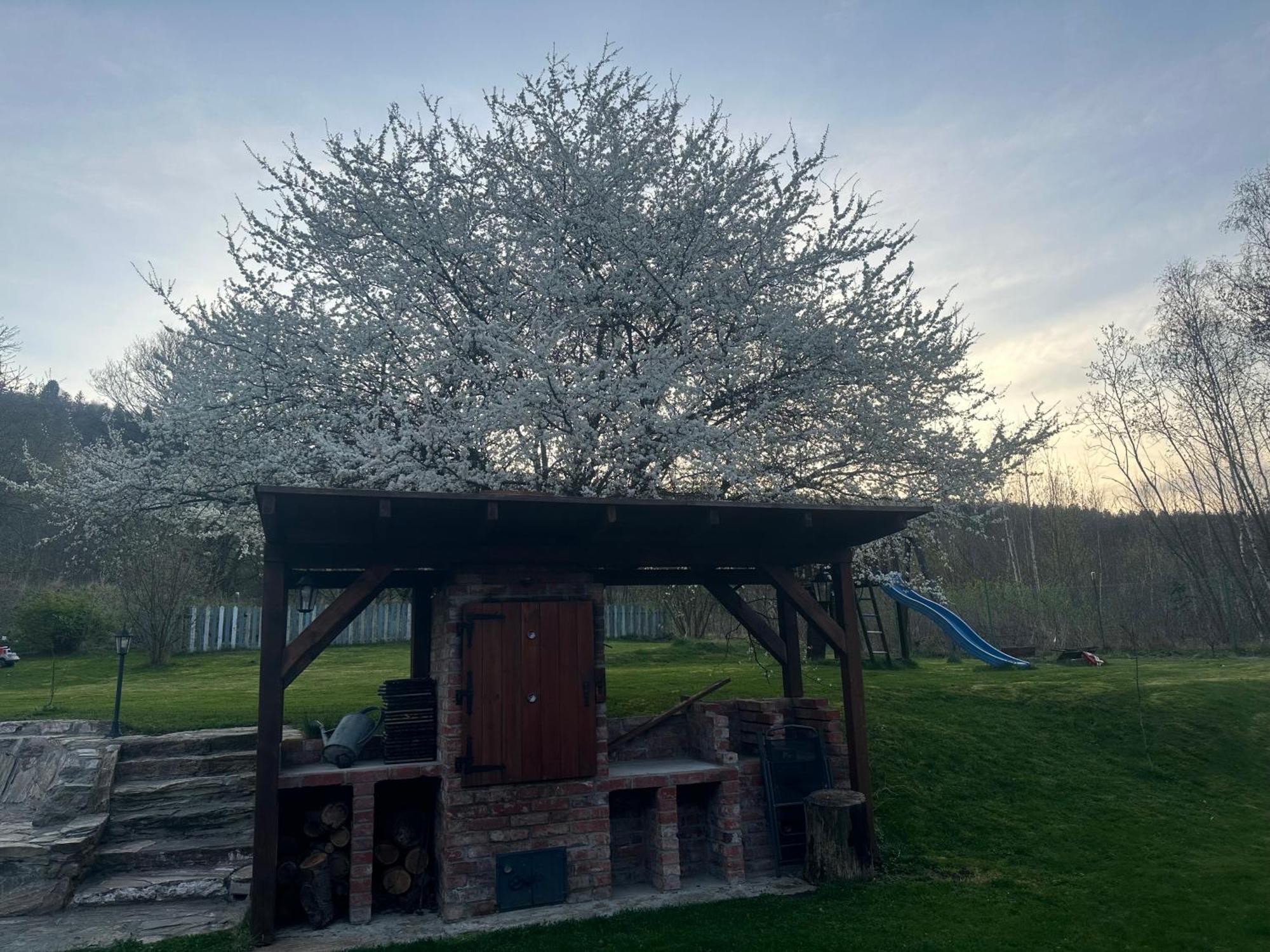 Dom Supelek Bed and Breakfast Duszniki Zdrój Εξωτερικό φωτογραφία